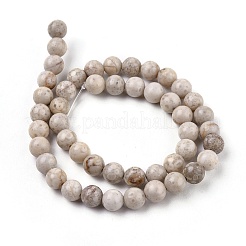 Natural Maifanite/Maifan Stone Beads Strands&nbsp;G-I187-8mm-01