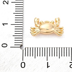 Brass Pendants&nbsp;KK-E793-26G
