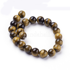 Natural Tiger Eye Beads Strands&nbsp;G-C076-8mm-1B