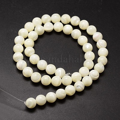 Shell Beads Strands&nbsp;SSHEL-E571-39-3mm-1