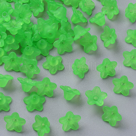 Transparent Acrylic Beads PL554-13-1