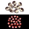 Luminous Resin Decoden Cabochons, Glow in the Dark, Cookie, Flat Round, 9x3.5mm