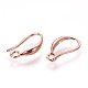 Brass Earring Hooks&nbsp;KK-L177-29RG-1