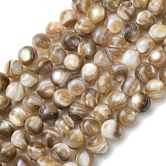 Natural Freshwater Shell Beads Strands, Round, Smooth, Camel, 6mm, Hole: 0.7mm, about 66pcs/strand, 14.96''(38cm)