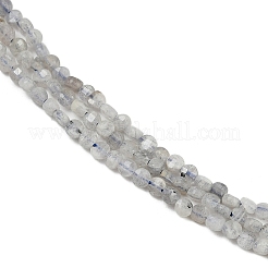 Natural Labradorite Beads Strands&nbsp;G-RM2025-A30-2mm