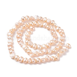 Natural Cultured Freshwater Pearl Beads Strands&nbsp;PEAR-P002-53D