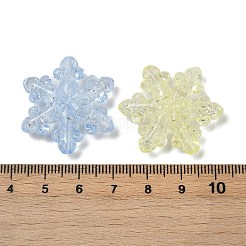 Transparent Crackle Acrylic Beads&nbsp;OACR-B031-05