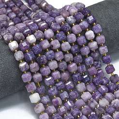Natural Lepidolite/Purple Mica Stone Beads Strands&nbsp;G-K389-A32-01