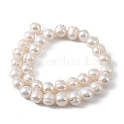 Natural Cultured Freshwater Pearl Beads Strands&nbsp;PEAR-L034-18D