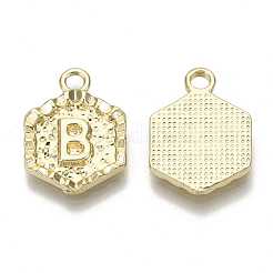 Alloy Pendants&nbsp;PALLOY-N157-003B-NR