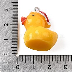 Resin Pendants&nbsp;FIND-U031-13B-P