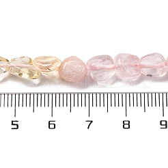 Natural Rose Quartz & Lemon Quartz Beads Strands&nbsp;G-L610-B18-01