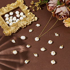 30Pcs 3 Styles Natural Pearl Pendants&nbsp;FIND-AR0005-32