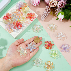 48Pcs 8 Colors Transparent Acrylic Beads&nbsp;OACR-DC0001-52