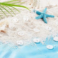 26Pcs 26 Style 
Natural Freshwater Shell Charms&nbsp;SHEL-FH0001-12