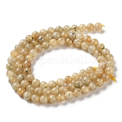Natural Yellow Garnet Beads Strands&nbsp;G-Z129-C01-5mm-01