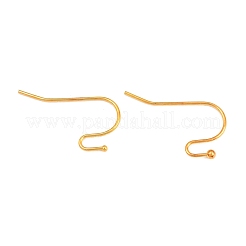 Brass Earring Hooks&nbsp;X-J0JQN-G-NF