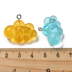 Transparent Resin Pendants&nbsp;FIND-Z011-01B