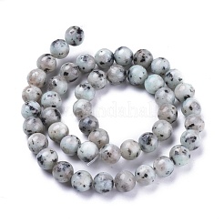 Natural Sesame Jasper/Kiwi Jasper Beads Strands&nbsp;G-K410-05-8mm