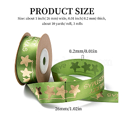 Polyester Ribbon&nbsp;SRIB-P018-B01