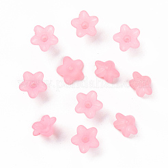 Transparent Acrylic Beads&nbsp;X-PL554-02