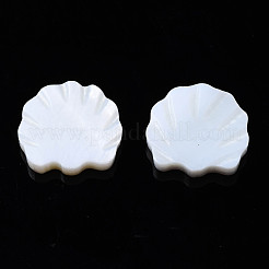 Natural Freshwater Shell Beads&nbsp;SHEL-S278-034