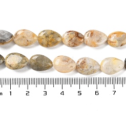 Natural Crazy Lace Agate Beads Strands&nbsp;G-K357-A03-01