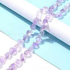 Rough Raw Natural Amethyst Beads Strands&nbsp;G-C069-01