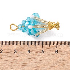 Glass Pendants&nbsp;PALLOY-MZ01302