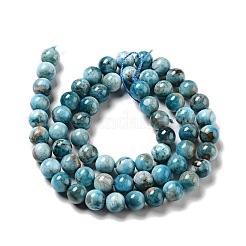 Natural Apatite Beads Strands&nbsp;G-G858-01A