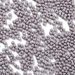 Baking Paint Glass Seed Beads&nbsp;X1-SEED-A033-05C