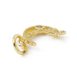 Brass Micro Pave Cubic Zirconia Charms&nbsp;ZIRC-F132-39G