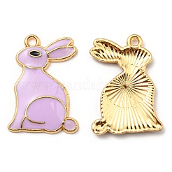 Alloy Pendants&nbsp;ENAM-L042-03G