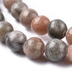 Natural Zebra Jasper Beads Strands&nbsp;G-F676-01