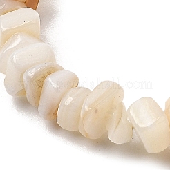 Natural Freshwater Shell Beads Strands&nbsp;SHEL-B003-03