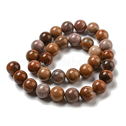 Natural Petrified Wood Round Bead Strands&nbsp;X-G-F266-08-8mm