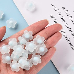 Transparent Acrylic Beads&nbsp;TACR-S152-09C-10