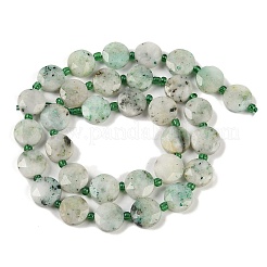 Natural Chrysocolla Beads Strands&nbsp;G-C116-A37-01
