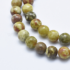 Natural Serpentine Jade Beads Strands&nbsp;G-P353-06-10mm