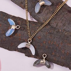 4Pcs 4 Style Mixed Gemstone Pendants&nbsp;G-SZ0001-42