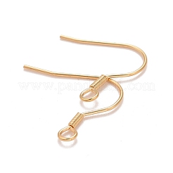 304 Stainless Steel Earrings Hooks&nbsp;STAS-P227-06G
