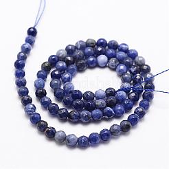 Natural Sodalite Beads Strands&nbsp;G-D840-19-4mm