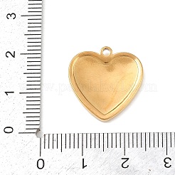 304 Stainless Steel Pendants&nbsp;STAS-C154-05A-G