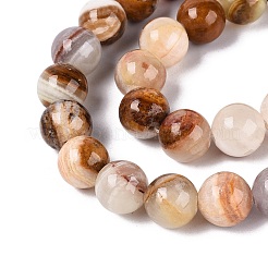 Natural Wood Lace Stone Wooden Jasper Beads Strands&nbsp;X-G-B128-A04-04