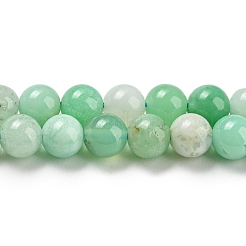 Natural Chrysoprase Beads Strands&nbsp;G-P503-6MM-03