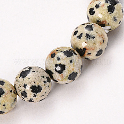 Natural Dalmatian Jasper Beaded Stretch Bracelets&nbsp;BJEW-Q692-51-8mm