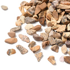 Natural Picture Jasper Chips&nbsp;G-G869-01