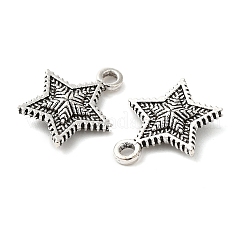 Tibetan style Alloy Charms&nbsp;FIND-Z059-03AS