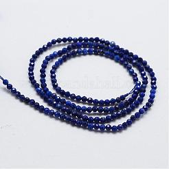 Natural Lapis Lazuli Bead Strands&nbsp;G-G663-48-3mm