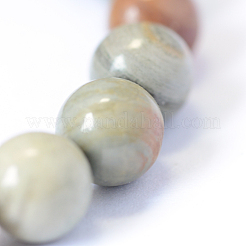 Natural Silver Leaf Jasper Round Bead Strands&nbsp;X-G-E334-6mm-04